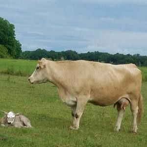 Meet your Posher, Atonya